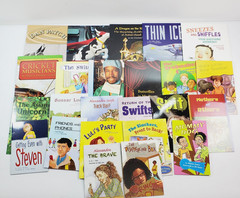 Lot of 24 Fountas & Pinnell LLI Red System Level N Leveled Literacy Readers