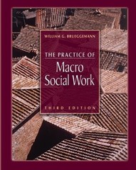 THE PRACTICE OF MACRO SOCIAL WORK By William G Brueggemann – Hardcover **Mint**