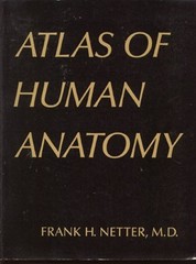 Atlas of Human Anatomy Paperback Frank H. Netter