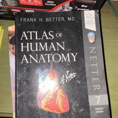 Frank H. Netter, MD Atlas of Human Anatomy 7th Ed Textbook Anatomy Elsevier