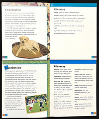 4th – 6th Grades – EXPLORE MORE – FLUENT READERS (13 books) (2005, Wright Group)