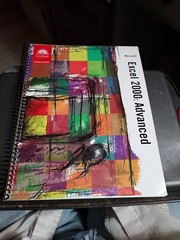 MICROSOFT EXCEL 2000 ADVANCED BOOK