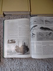 The World Book Encyclopedia 1962 Set Volumes 1-10, 12,15-20 Missing 3