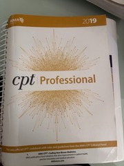 CPT Professional 2019 by American Medical Association (2018, Spiral)