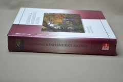 Beginning and Intermediate Algebra, Hardcover, 2006, Mc-Graw Hill, Julie Miller