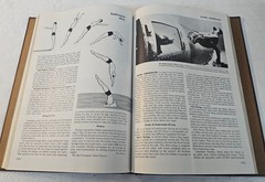 1974 The WORLD BOOK Encyclopedia Vol. 5 “D” Hardcover Book EXCELLENT
