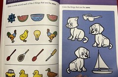 Workbook Same Or Different with Reward Stickers, Pre K-K Workbook, 32 Pages