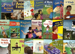 1st Grade Readers Multi-Level Reading Library #7 – 21 Books Levels E-M
