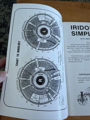 Iridology Simplified: Introduction Science of Iridology Bernard Jensen 1980 Mint