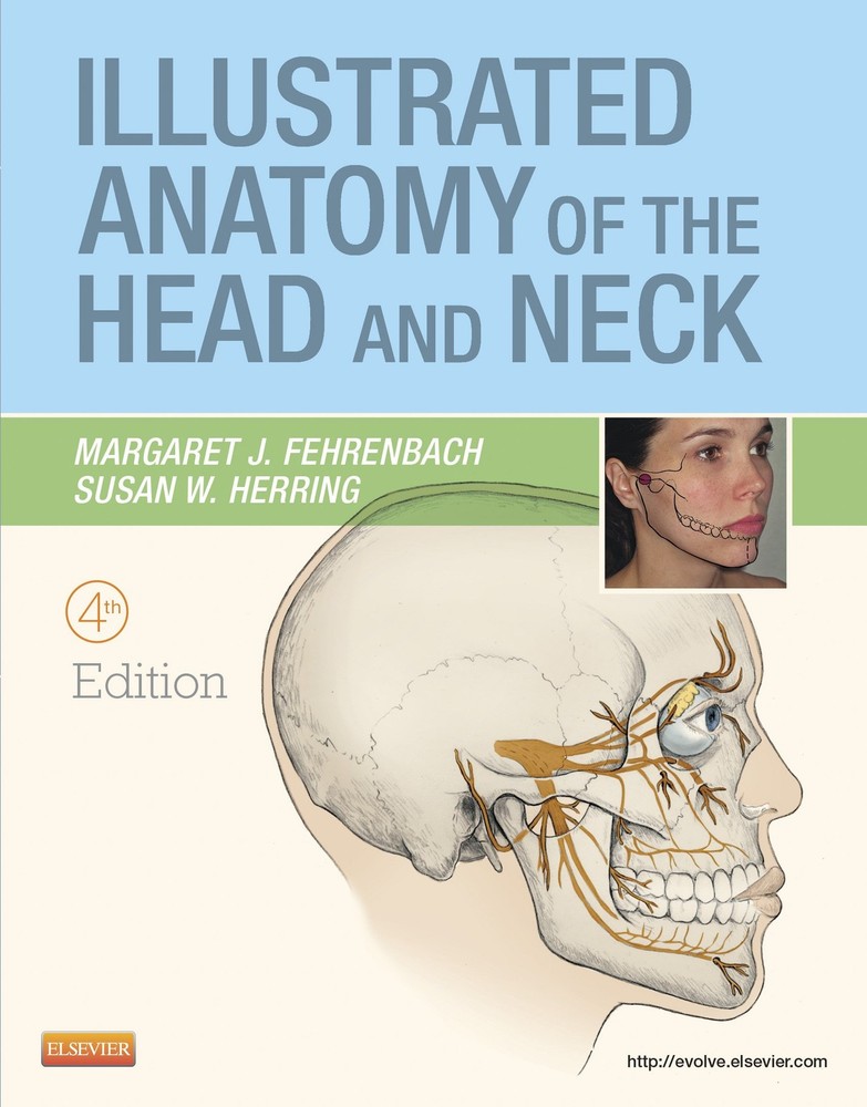 Illustrated Anatomy of the Head and Neck, 4th Edition by Margaret J. Fehrenbach
