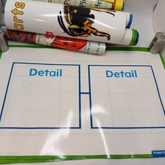 McGraw Hill Reading Wonders Teaching Posters Set of 20 Posters Double Sided