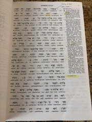 The Interlinear NIV Hebrew-English Old Testament Bible Hardcover Kohlenberger