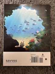 enVision Florida B.E.ST. Mathematics:Additional Practice Workbook Gr 6A New