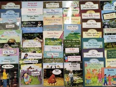 Fountas & Pinnell LLI Green Full Color Reader Books 1-110 Levels A-J Grade 1