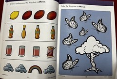 Workbook Same Or Different with Reward Stickers, Pre K-K Workbook, 32 Pages