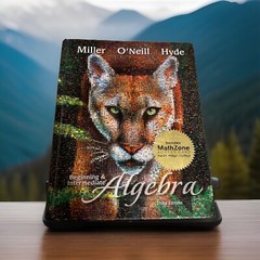 Beginning and Intermediate Algebra by Julie Miller, Nancy Hyde and Molly O’Neill