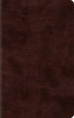 ESV Thinline Bible (TruTone Espresso) by Bibles by Crossway