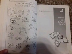 Signing Illustrated: The Complete Learning Guide by Flodin, Mickey