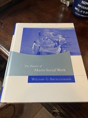 The Practice of Macro Social Work Hardcover 2nd Ed Brueggemann NEW