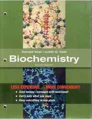 Biochemistry, Binder Ready by Voet, Donald; Voet, Judith G., Brand New