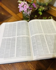 Compact Edition of the oxford English Dictionary – 2 Volumes – A-O & P-Z – 1976