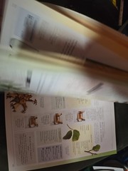 Illustrated Encyclopedia of Healing Remedies, Norman Shealy, MD PhD Editor Book