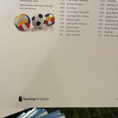 Creative Curriculum Preschool Intentional Teaching 33 Cards Physical Bilingual