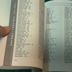 2001 SPANISH AND ENGLISH IDIOMS Completely Bilingual Language Study Clean