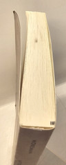 Beyond The Threshold Afterlife Beliefs And Experiences 2nd Edition Moreman PB