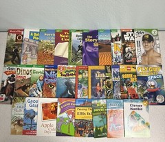 Lot of 30 Assorted Grades 1-3 Learning To Read Homeschooling Education Books