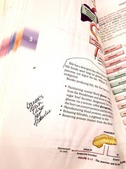 Language of Medicine by Davi-Ellen Chabner (2016, Trade Paperback) Writing / DMG