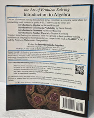 Introduction to Algebra: Rusczyk GOOD (see photos:)