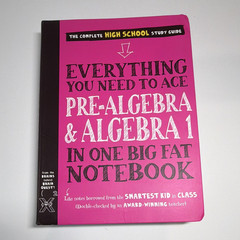 Everything You Need to Ace Pre-Algebra & Algebra 1 Notebook PB 2023 Illus