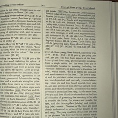 A Practical Dictionary of Chinese Medicine (2nd Ed) by Nigel Wiseman & Feng Ye