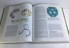 Biochemistry, 4th Edition by Voet, Donald