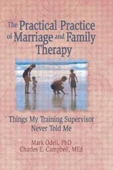 The Practical Practice of Marriage and Family Th- 0789004313, paperback, Trepper