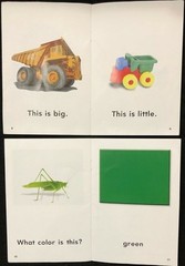 1st Grade – TIME FOR KIDS (SOCIAL STUDIES & SCIENCE) 30 Nonfiction Reader Books