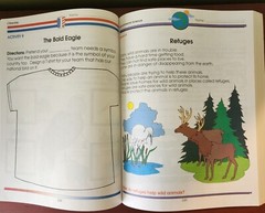 Comprehensive Curriculum Of Basic Skills Grade 1 American Education Publishing