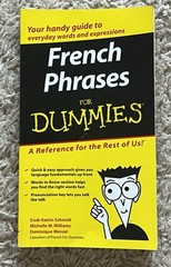 French Phrases For Dummies Pocket Guide Book Schmidt Language Travel Learn Vocab