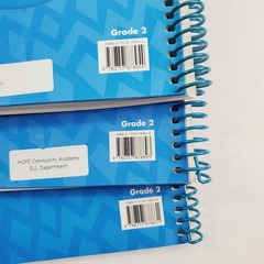 Lot of 3 Rigby On Our Way to English Grade 2 Teachers Guides Thematic Phonics