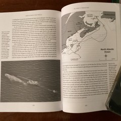 North Atlantic Right Whales By David W. Laist VG First Edition 2017 HC