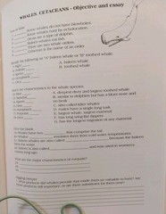 SET Lyrical Life Science Volume 2 Workbook & Text & Cd Homeschool Elem Science