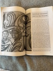 The Norton Anthology: American Literature: 1865 to the Present Shorter Tenth Ed