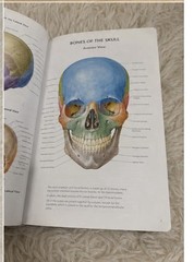 Netter Atlas of Human Anatomy: Paperback by Frank H. Netter (2022, Paperback)