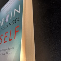 The Brain That Changes Itself by Norman Doidge M.D. Paperback Edition 2007