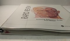 Rapid Review : Anatomy Reference Guide by Anatomical Chart Company Staff (2005,