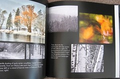Tom Dwyer – Contrasts, Rare Nature Photography Hardcover Book