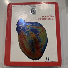 Principles of Anatomy and Physiology by Bryan H. Derrickson 11th Edition