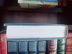 MAKING THE IRISH AMERICAN_J J Lee_HCDJ_1st Edition_Ex-library_Very Good