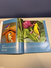 Birds Birds Birds: Boreal Birds of North America/Birds in Bloom/Canaries..LOTOF5